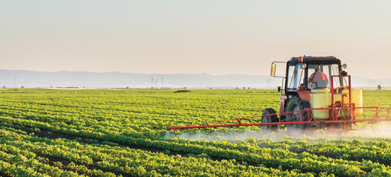 Anwendung von Organosilicium-Zusatzstoffen in der Landwirtschaft