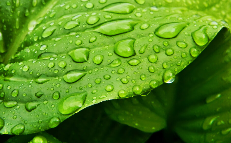 Eigenschaften von Organosilicium-Tensiden für Pestizide