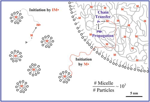 Besonderheit des Mikroemulsionspolymerisationsmechanismus