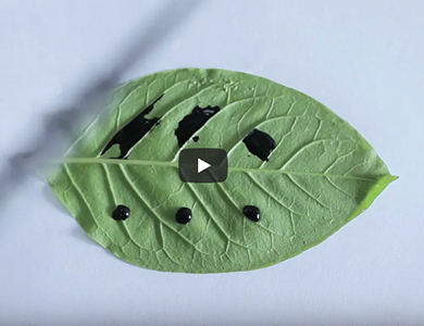 Silikon-Sprühhilfsmittel für landwirtschaftliche Anwendungen