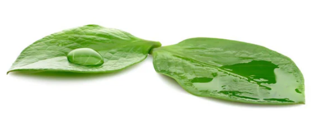 Superbenetzendes Spray-Silikon-Adjuvans SW-254